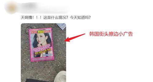 韩国特殊服务在线视频,暗流涌动的网络世界